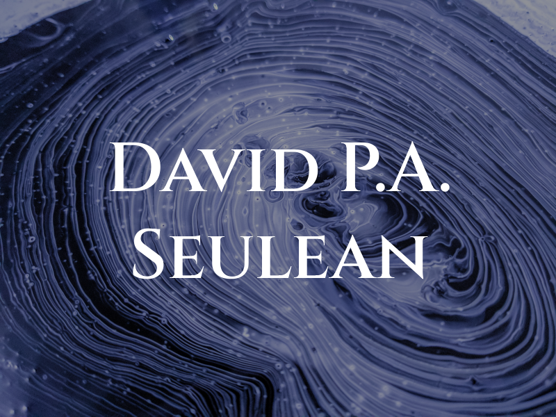 David P.A. Seulean