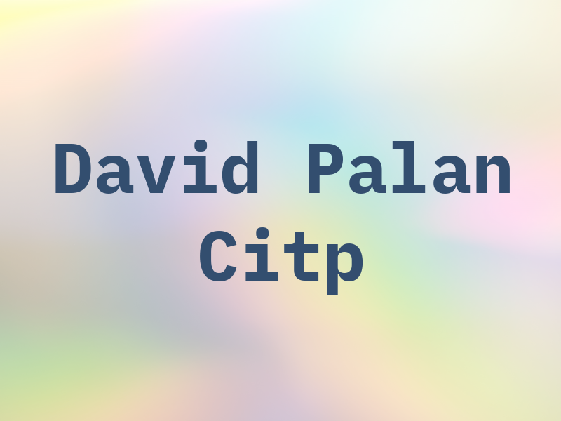 David S Palan CPA Citp