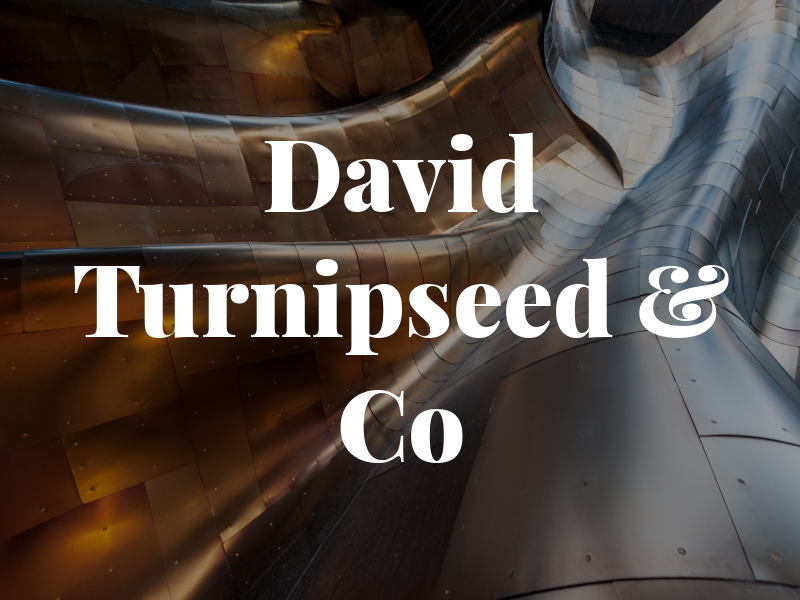 David Turnipseed & Co