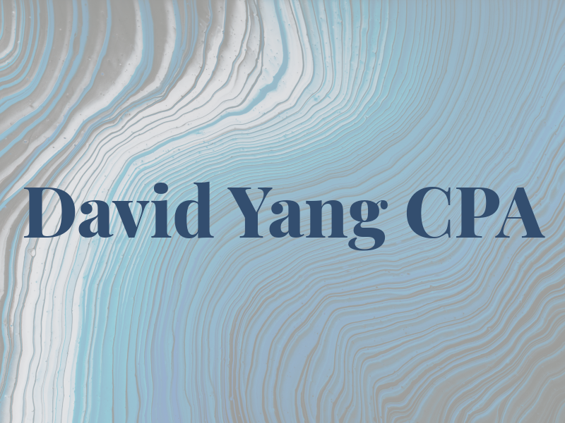 David Yang CPA