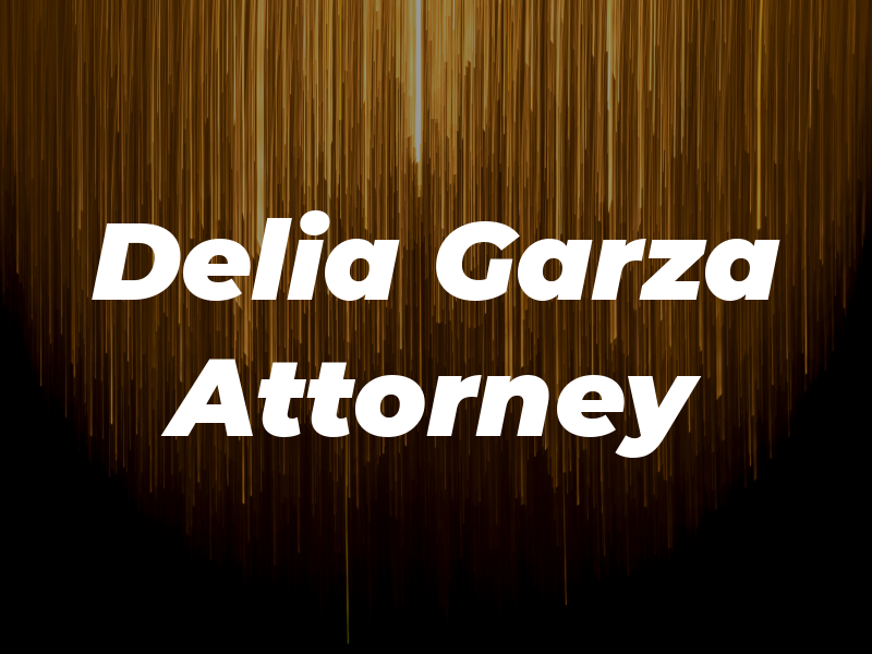 Delia De La Garza Attorney At Law