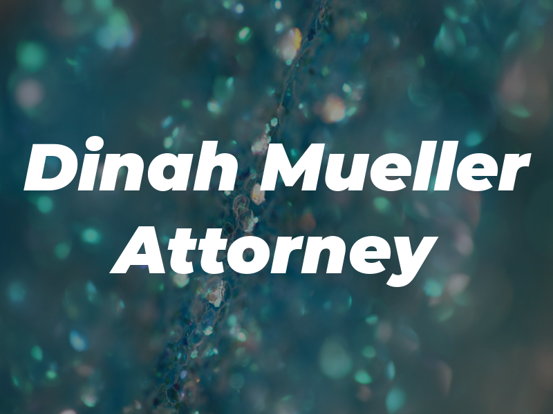 Dinah J Mueller Attorney at Law