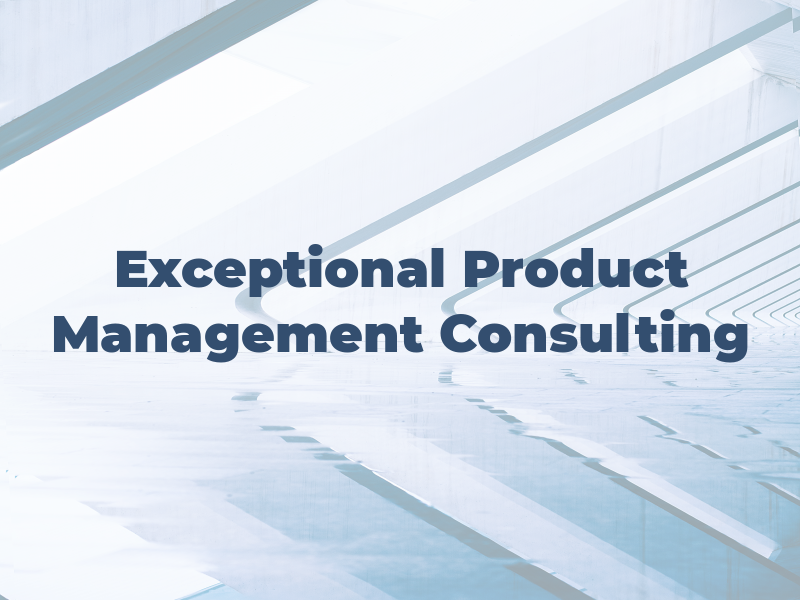 Exceptional Product Management Consulting