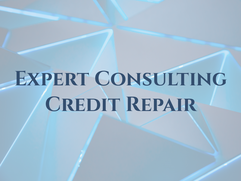 Expert Consulting Credit Repair