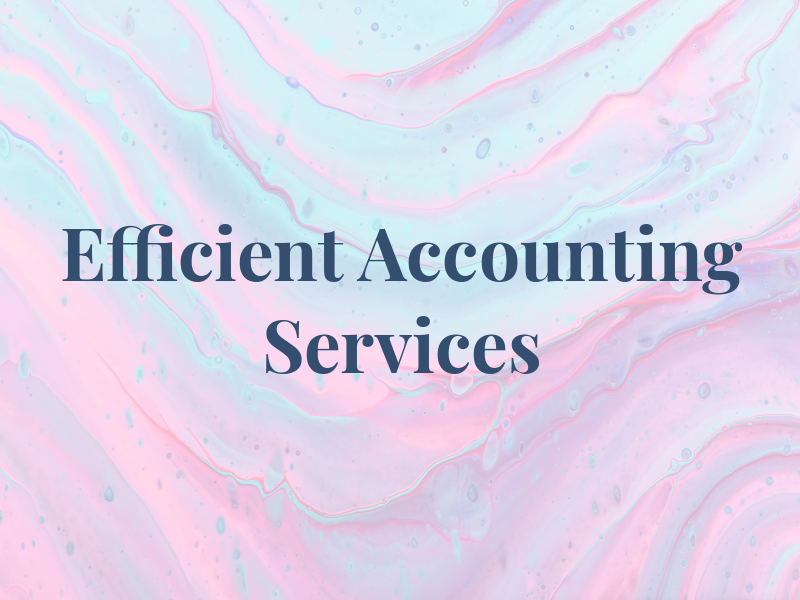 Efficient Accounting Services