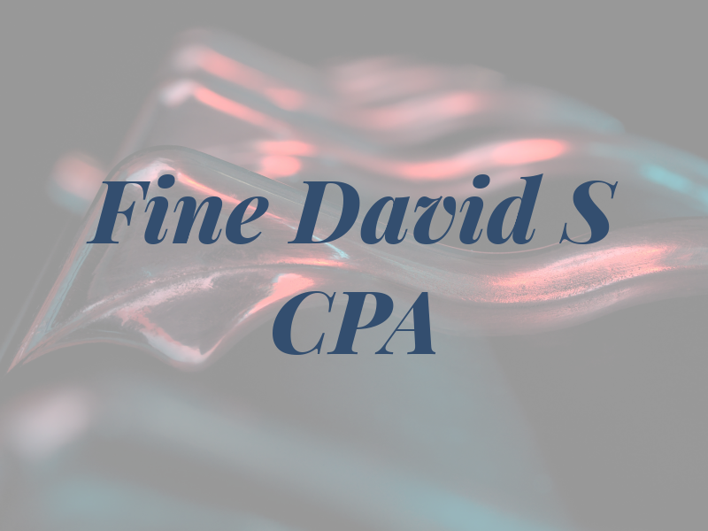 Fine David S CPA