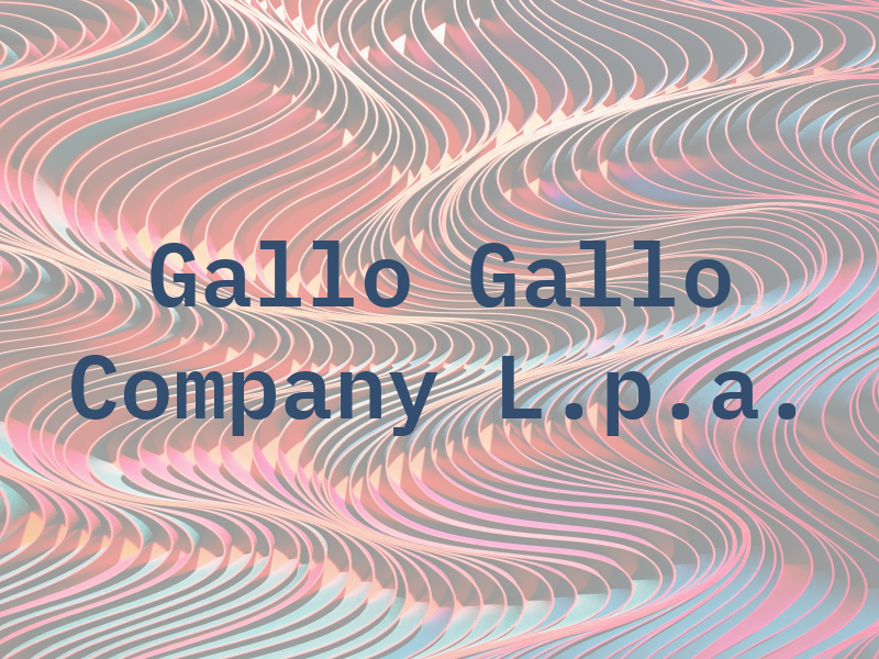 Gallo & Gallo Company L.p.a.