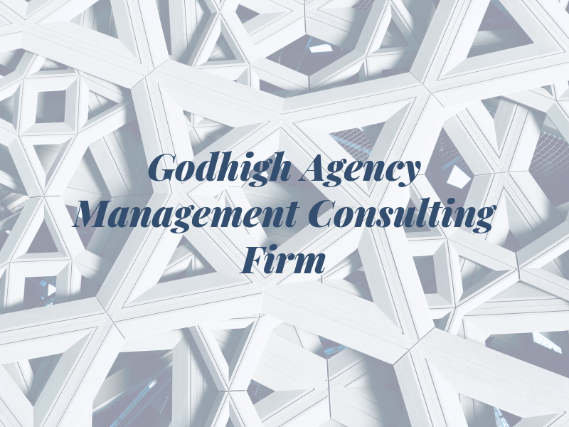 Godhigh Agency Management Consulting Firm