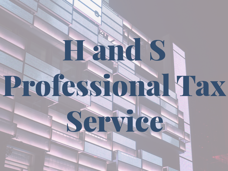 H and S Professional Tax Service