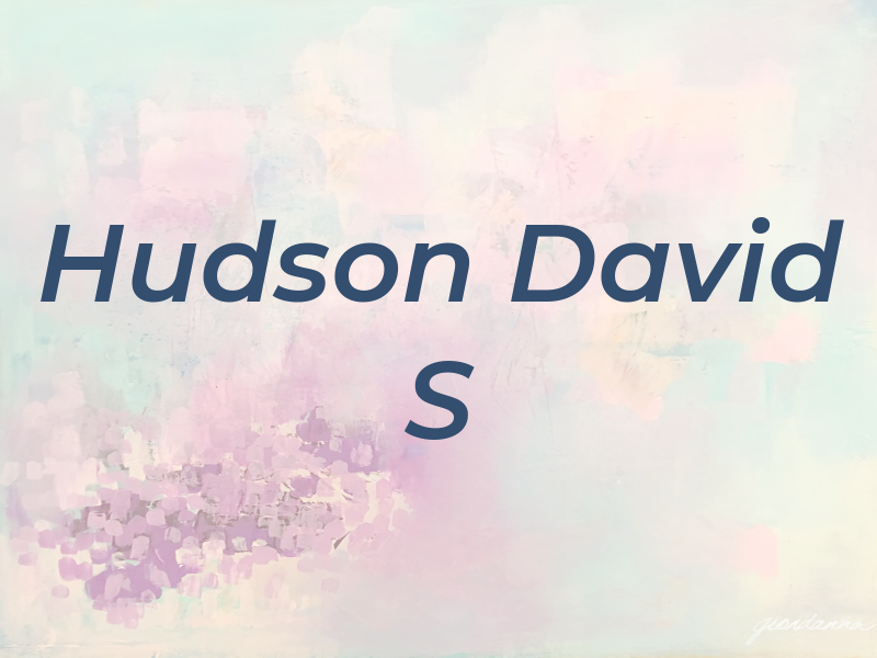 Hudson David S