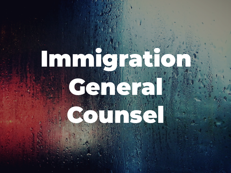 Immigration General Counsel