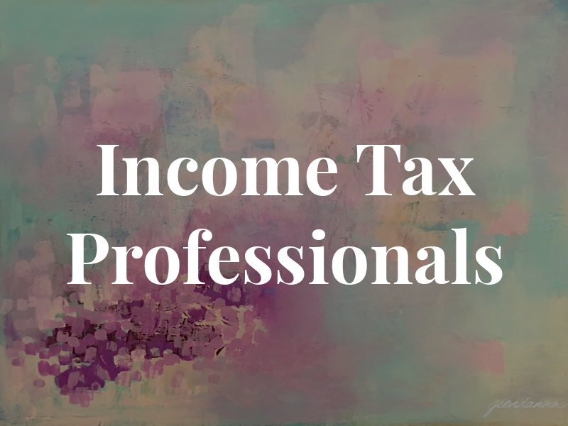 Income Tax Professionals
