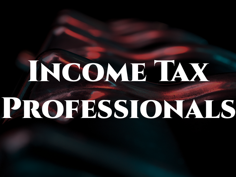 Income Tax Professionals