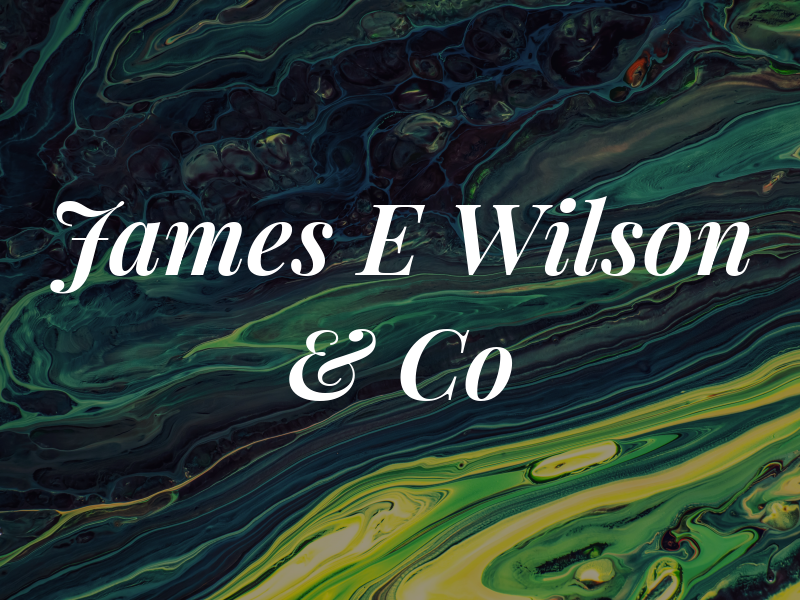 James E Wilson & Co