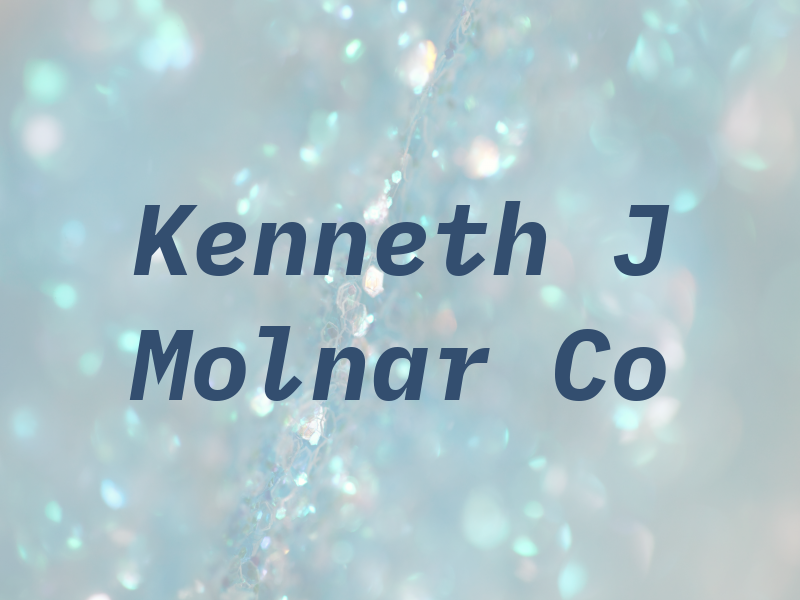 Kenneth J Molnar Co