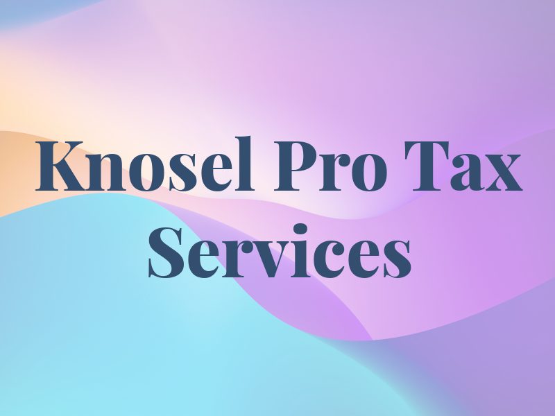 Knosel Pro Tax Services