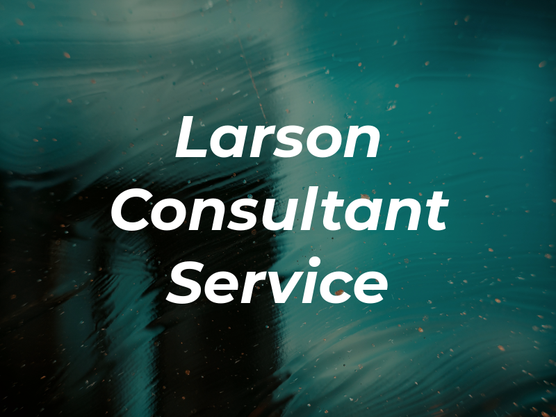 Larson Consultant Service