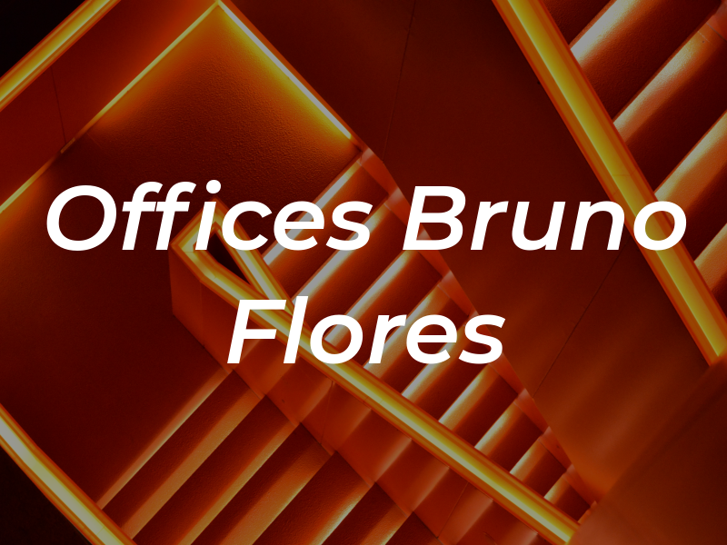 Law Offices Of Bruno Flores