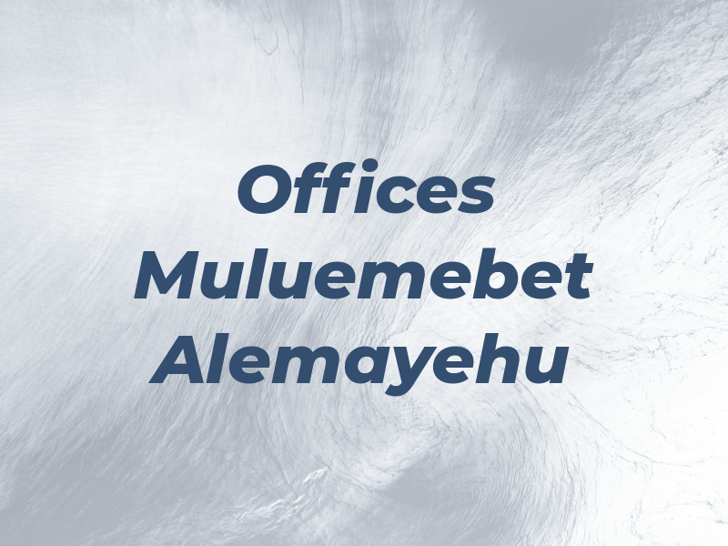 Law Offices of Muluemebet Alemayehu