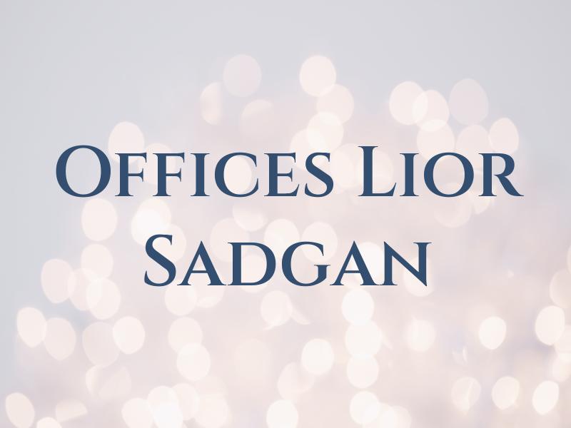 Law Offices of Lior Sadgan