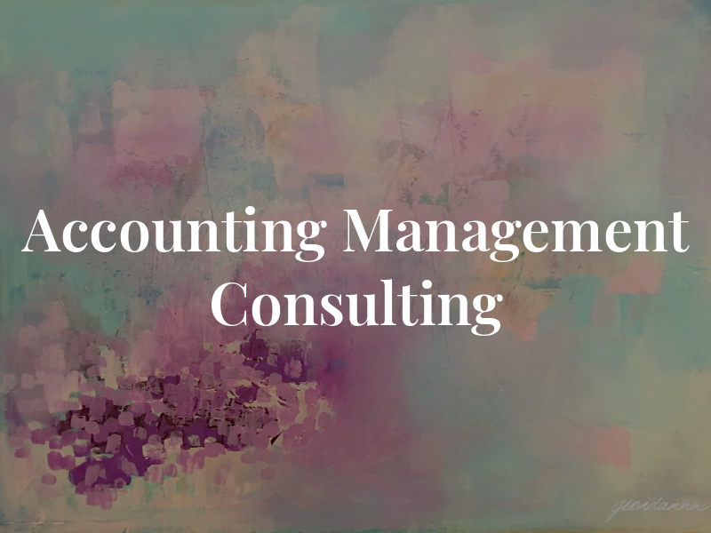 P&L Accounting & Management Consulting