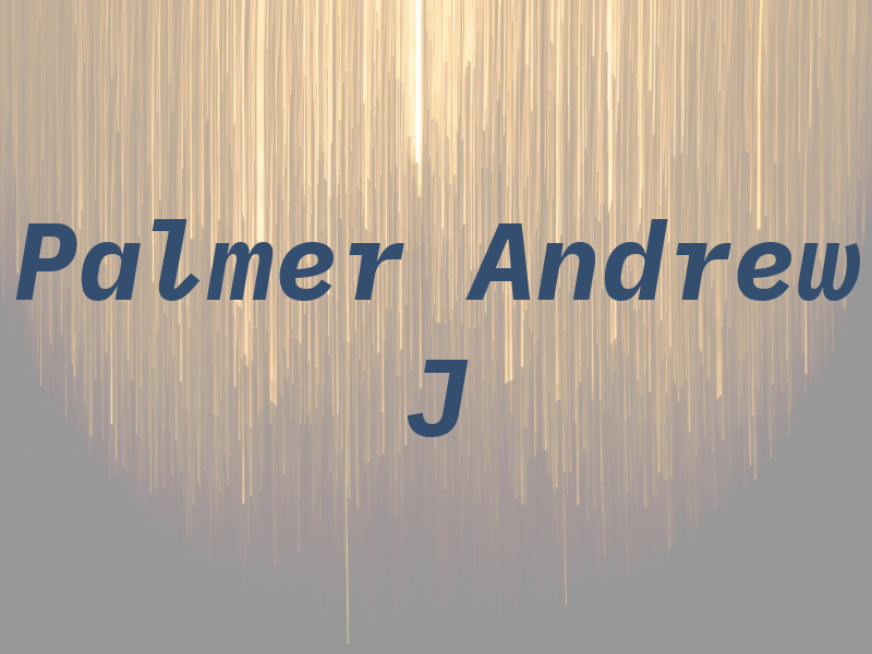 Palmer Andrew J