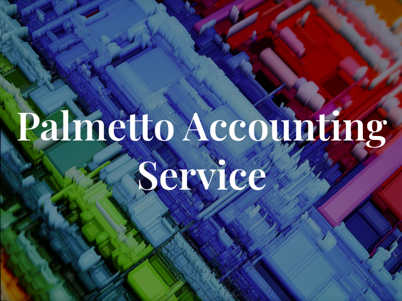 Palmetto Tax and Accounting Service