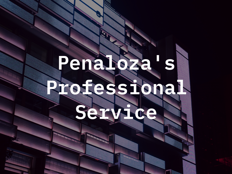 Penaloza's Professional Service