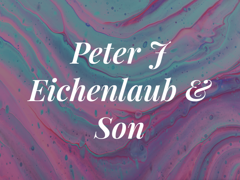 Peter J Eichenlaub & Son