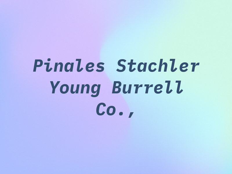Pinales Stachler Young & Burrell Co., LPA