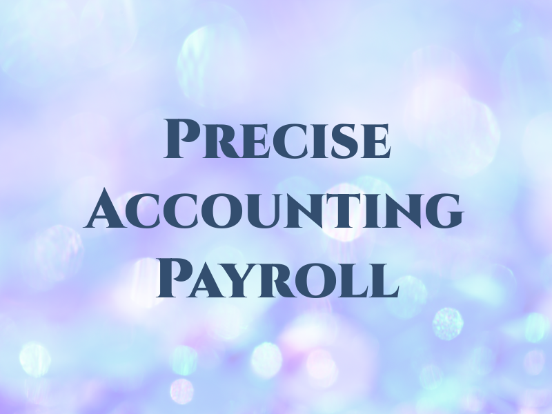 Precise Accounting and Payroll