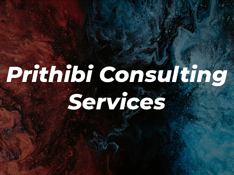 Prithibi Consulting Services