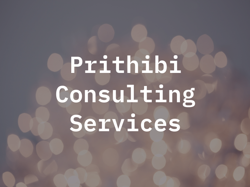 Prithibi Consulting Services
