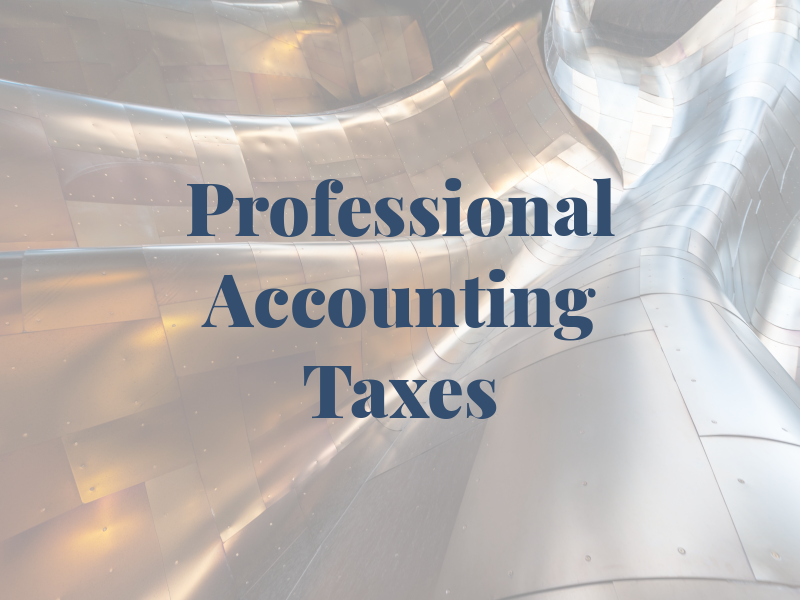 Professional Accounting & Taxes