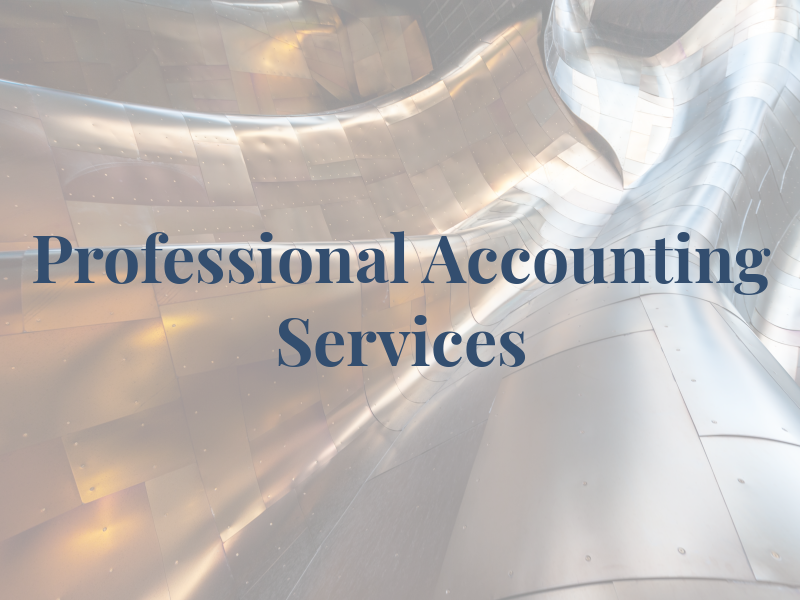 Professional Accounting and Tax Services