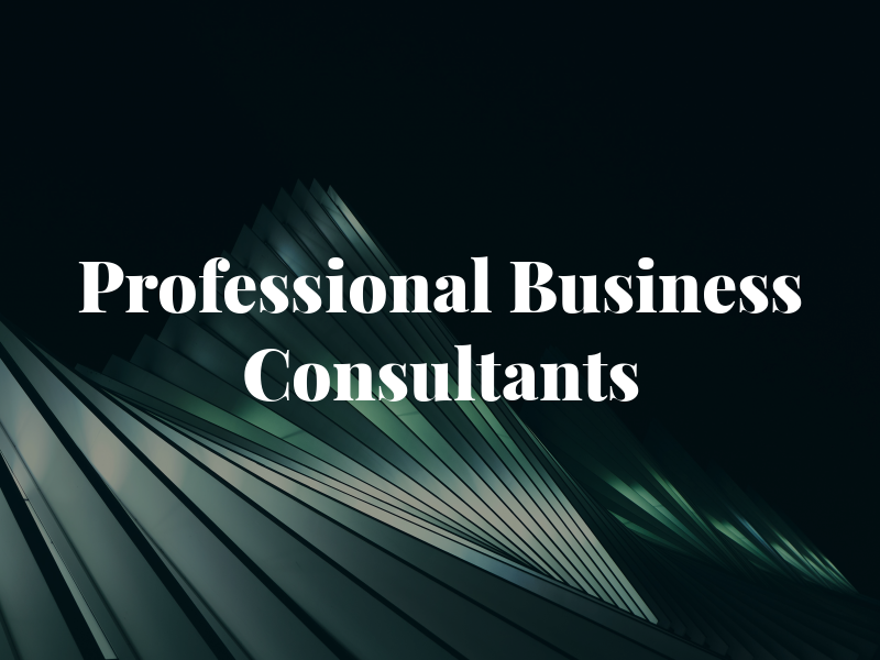 Professional Business Consultants