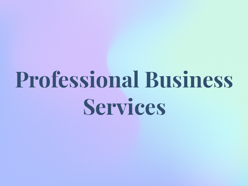 Professional Business Services