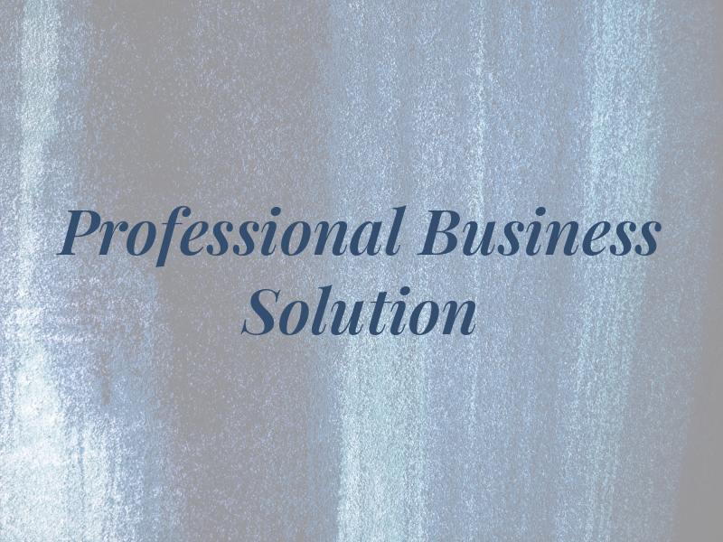Professional Business Solution