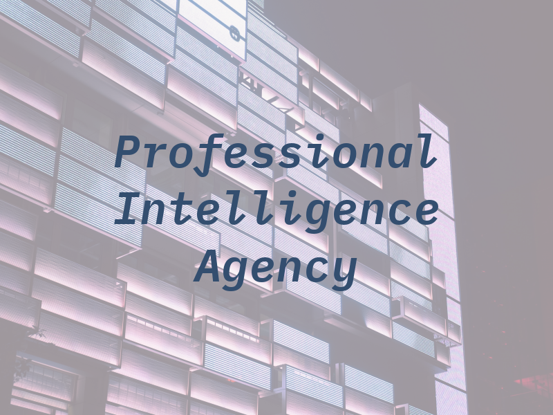 Professional Intelligence Agency