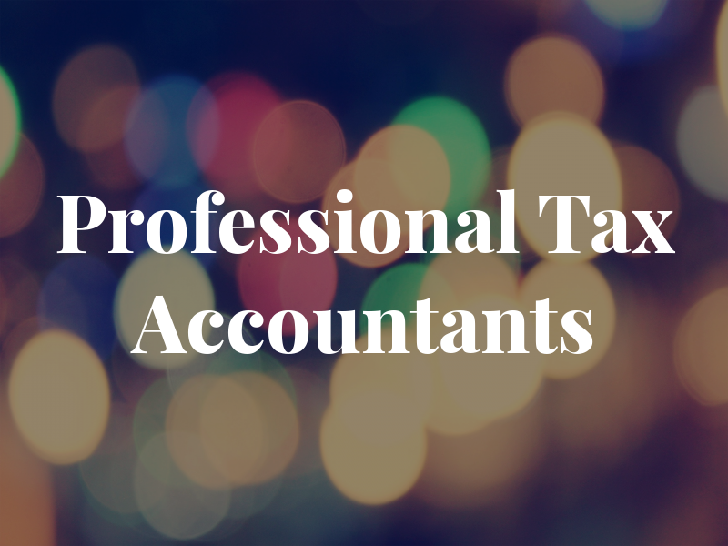 Professional Tax Accountants