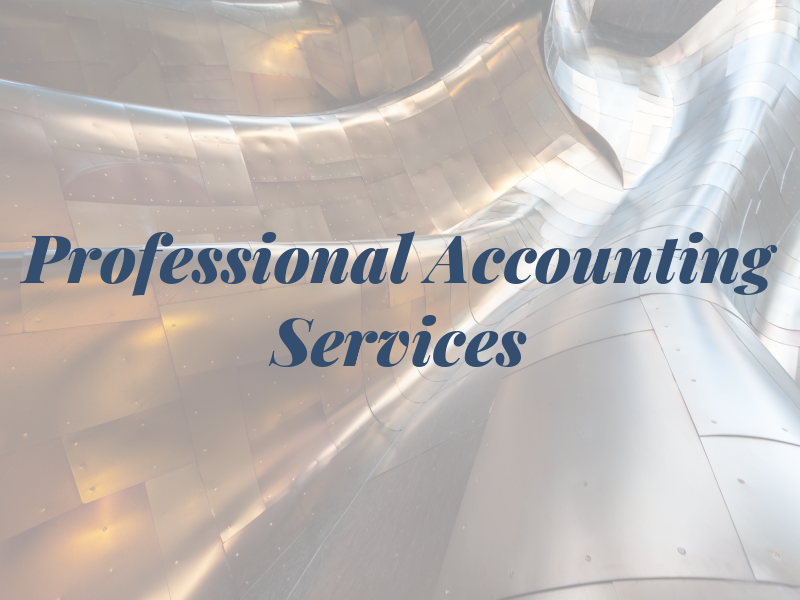 Professional Tax Accounting Services