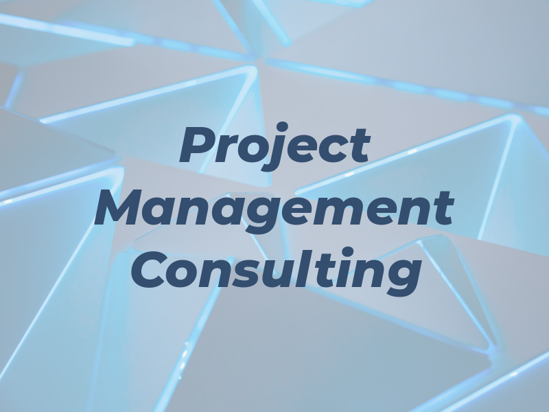 Project Management and Consulting