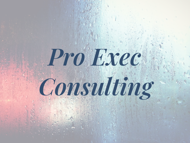 Pro Exec Consulting