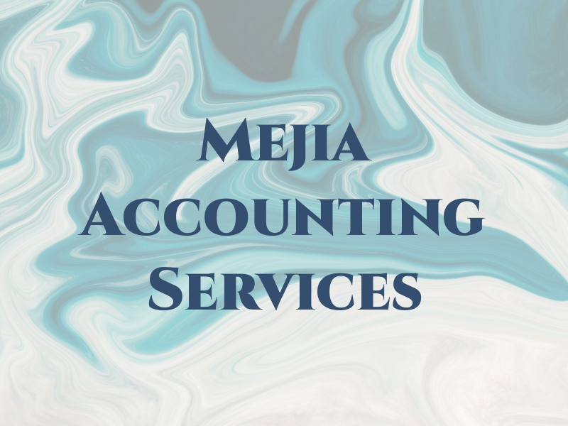 RM Mejia Tax and Accounting Services