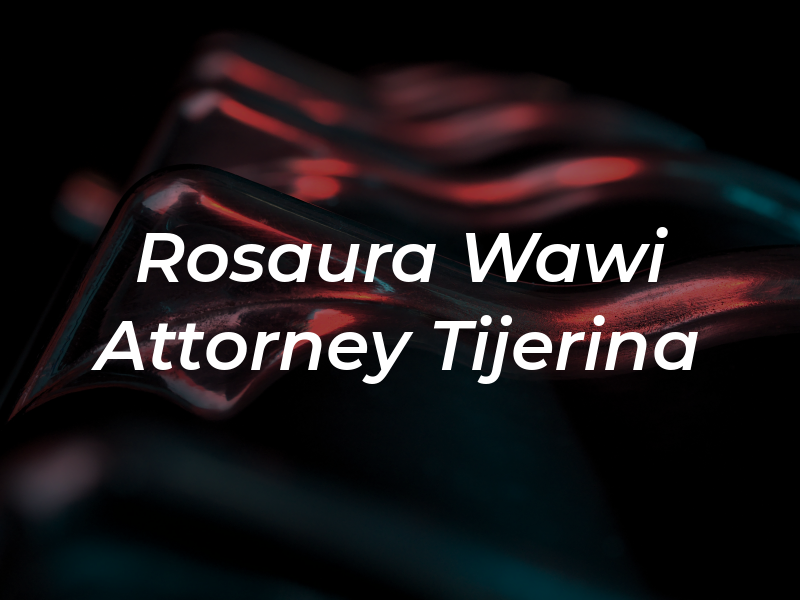 Rosaura Wawi Attorney Tijerina At Law