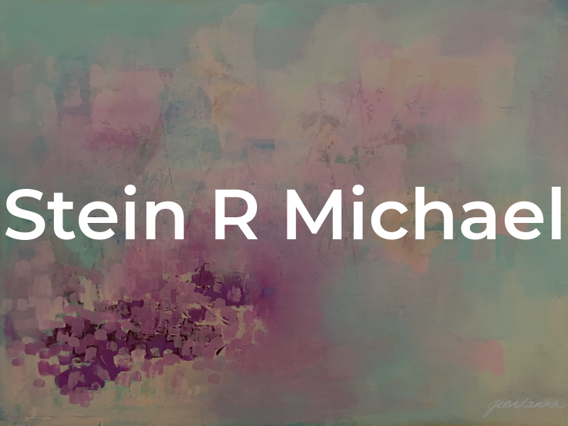 Stein R Michael