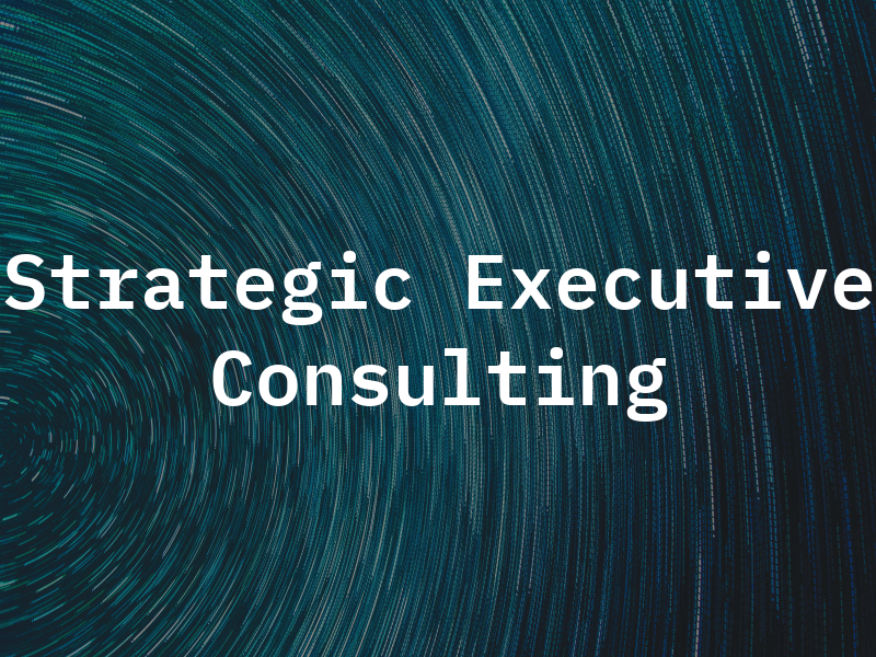 Strategic Executive Consulting
