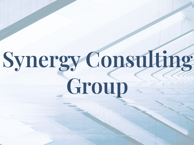 Synergy Consulting Group