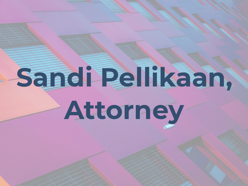 Sandi Pellikaan, Attorney at Law