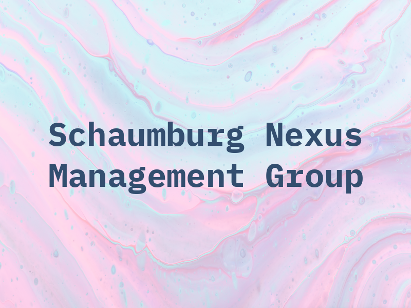 Schaumburg CPA - Nexus Management Group